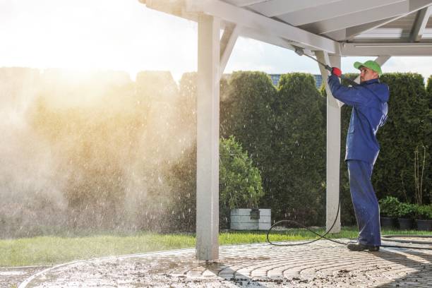 Best Soft Washing  in Frankston, TX