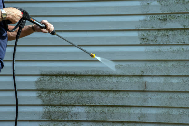 Best Driveway Pressure Washing  in Frankston, TX