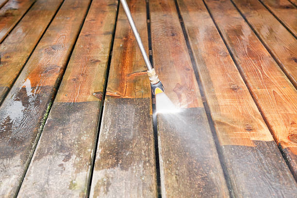 Best Fence Cleaning  in Frankston, TX